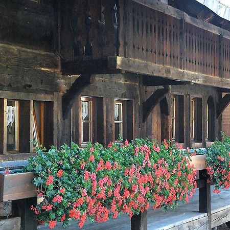 Ferienwohnungen Sternenthal Menzenschwand-Hinterdorf 외부 사진