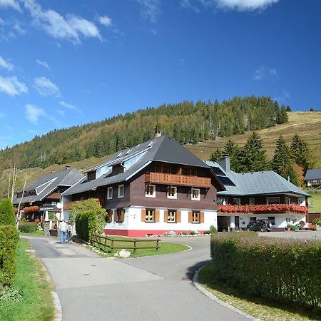 Ferienwohnungen Sternenthal Menzenschwand-Hinterdorf 외부 사진