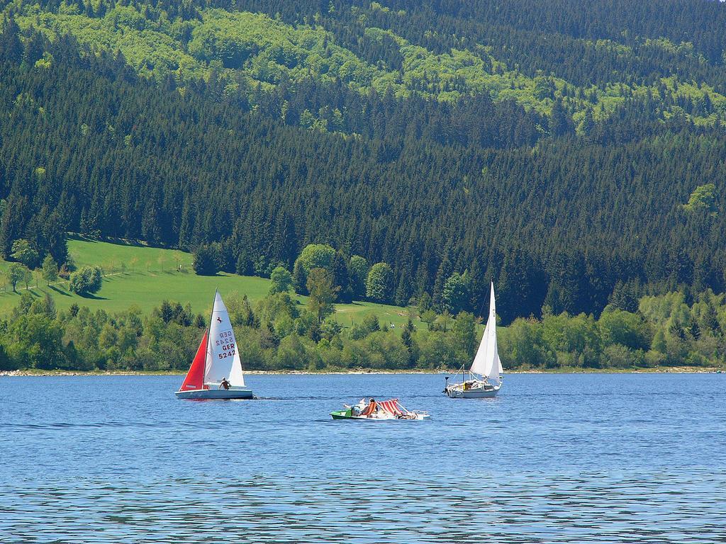 Ferienwohnungen Sternenthal Menzenschwand-Hinterdorf 외부 사진