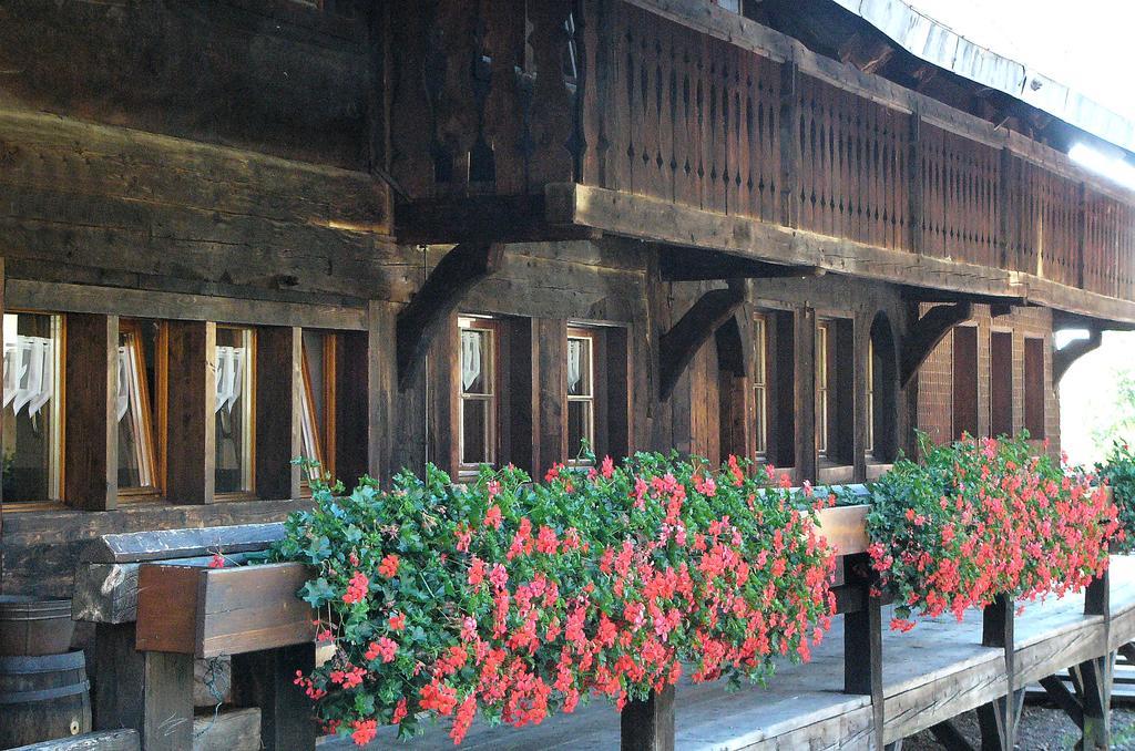 Ferienwohnungen Sternenthal Menzenschwand-Hinterdorf 외부 사진