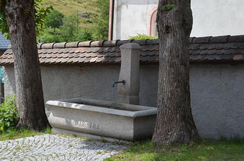 Ferienwohnungen Sternenthal Menzenschwand-Hinterdorf 외부 사진