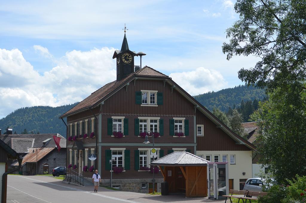 Ferienwohnungen Sternenthal Menzenschwand-Hinterdorf 외부 사진