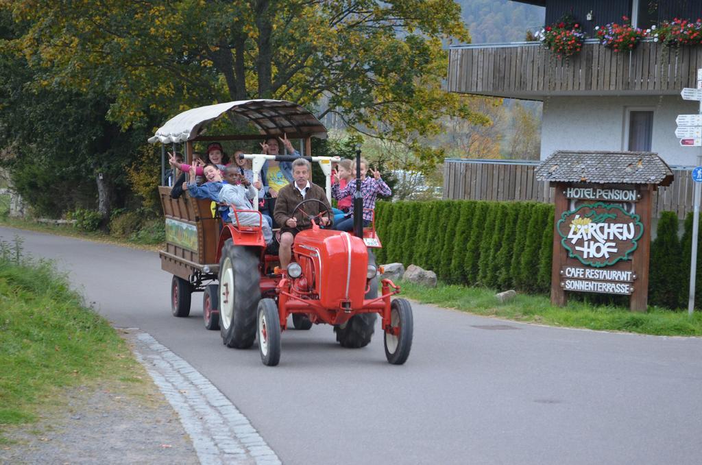 Ferienwohnungen Sternenthal Menzenschwand-Hinterdorf 외부 사진