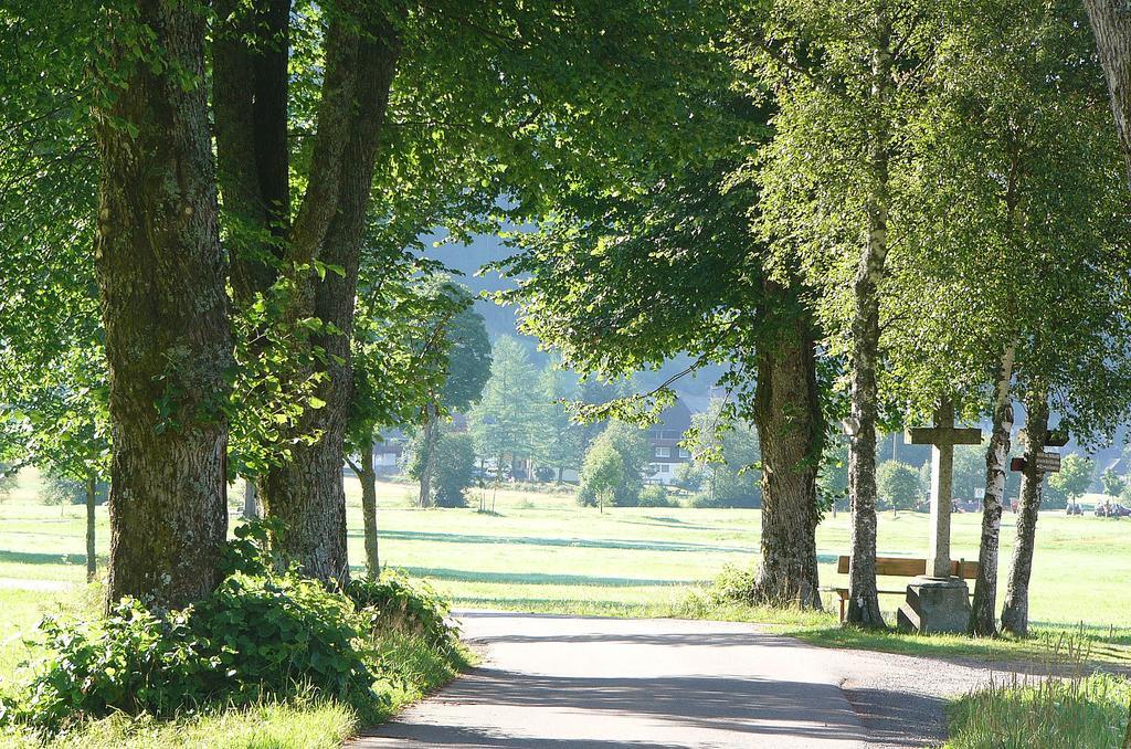 Ferienwohnungen Sternenthal Menzenschwand-Hinterdorf 외부 사진
