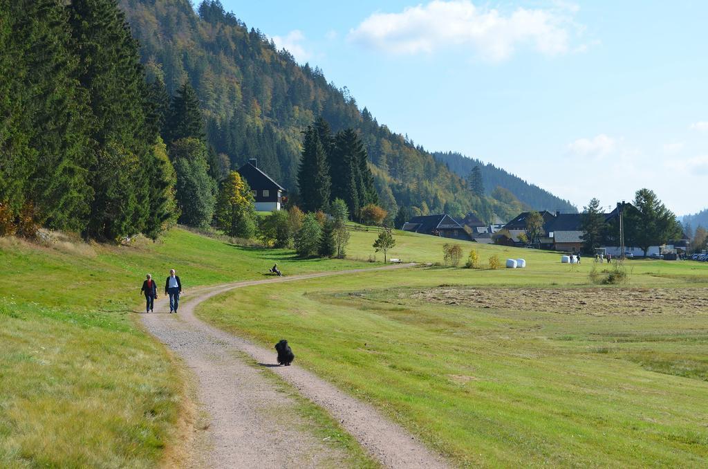 Ferienwohnungen Sternenthal Menzenschwand-Hinterdorf 외부 사진