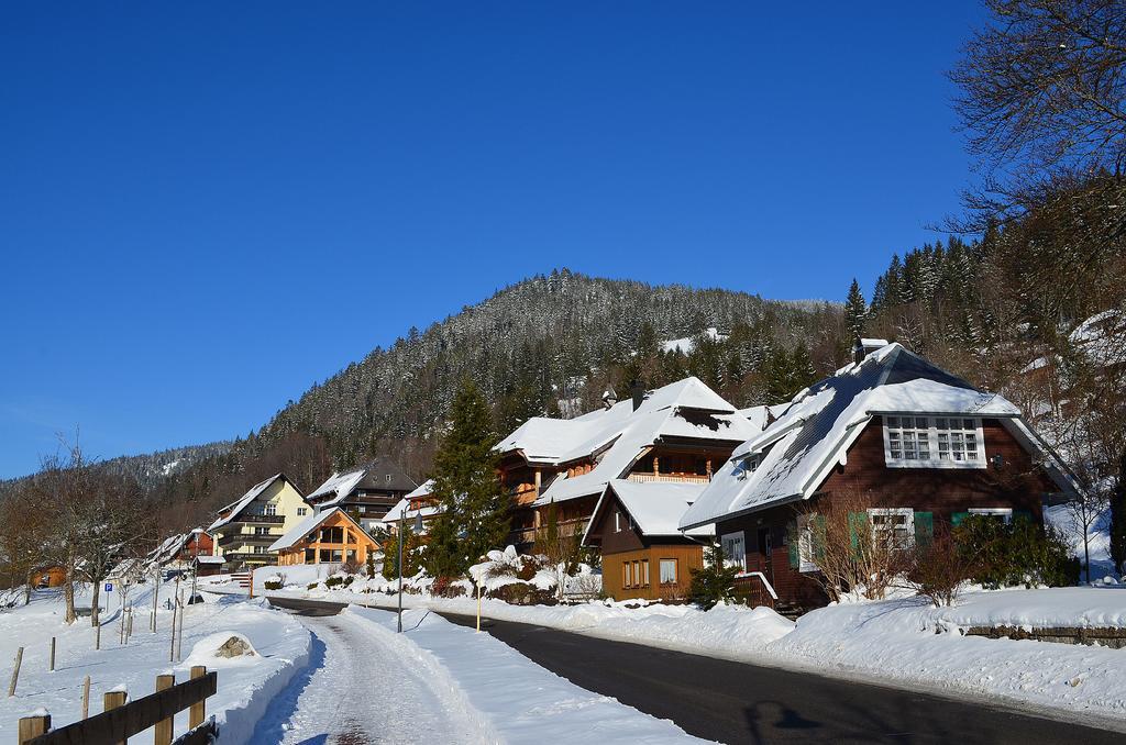 Ferienwohnungen Sternenthal Menzenschwand-Hinterdorf 외부 사진